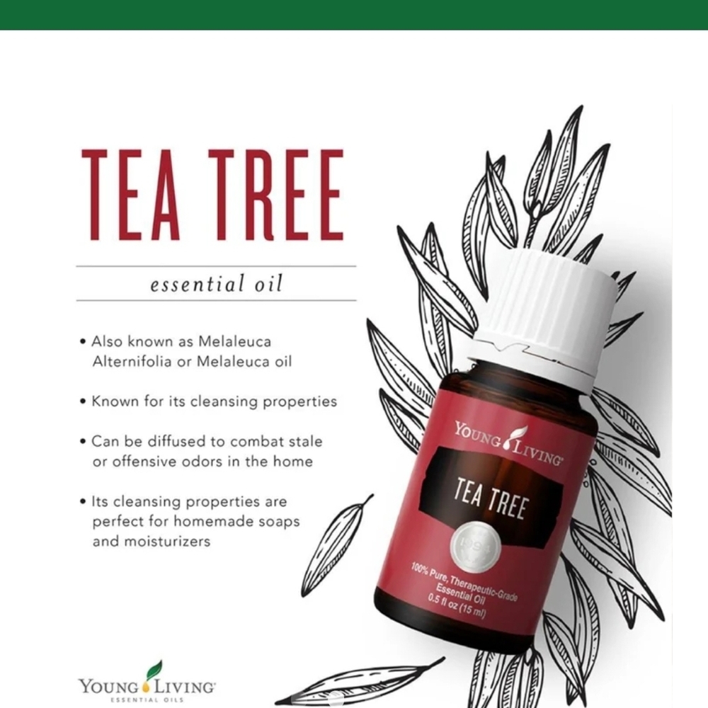 Young Living Tea Tree Oil - 15ml